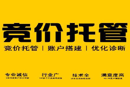 百度竞价广告运营的技巧与误区：成功案例解析